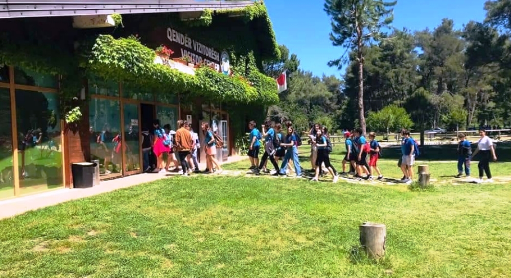 Bileta per te hyre ne Parkun e Divjakes, Ministria e Turizmit sqaron